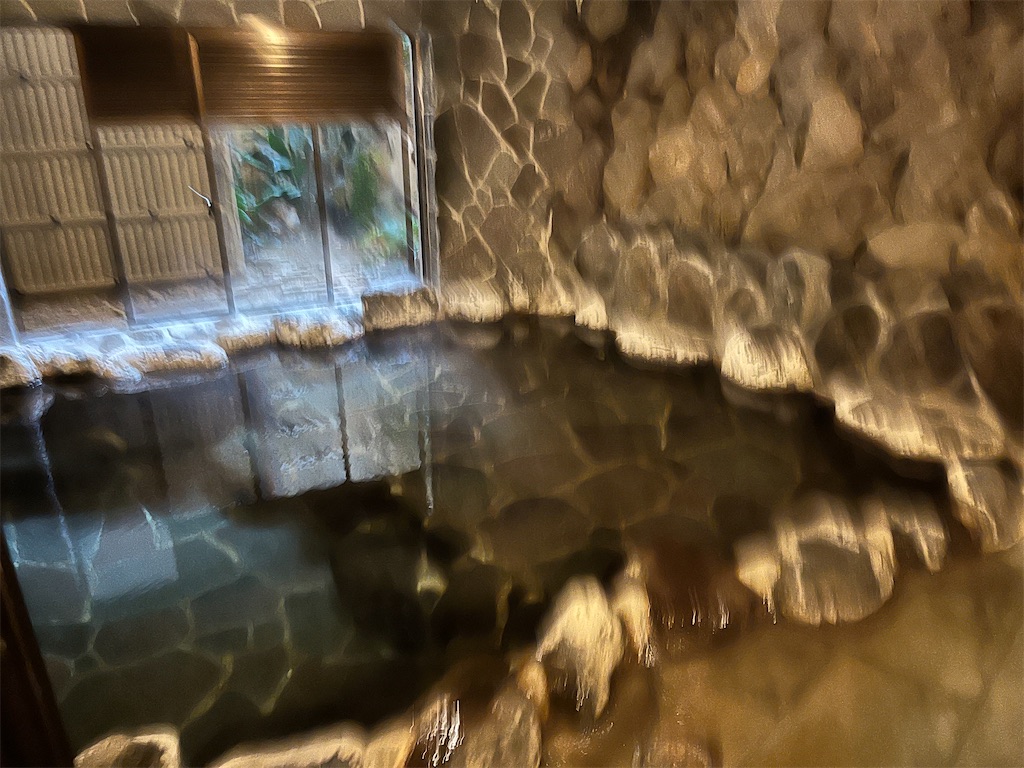 f:id:Kajirin1:20240113131904j:image