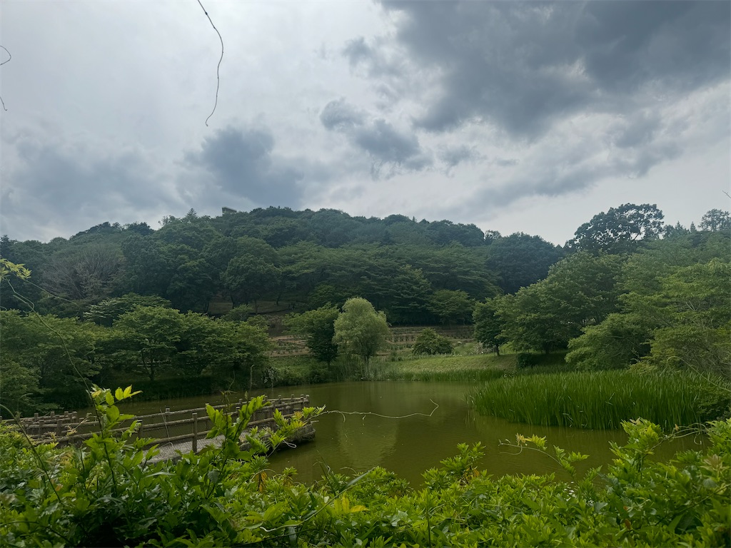 f:id:Kajirin1:20240527104339j:image