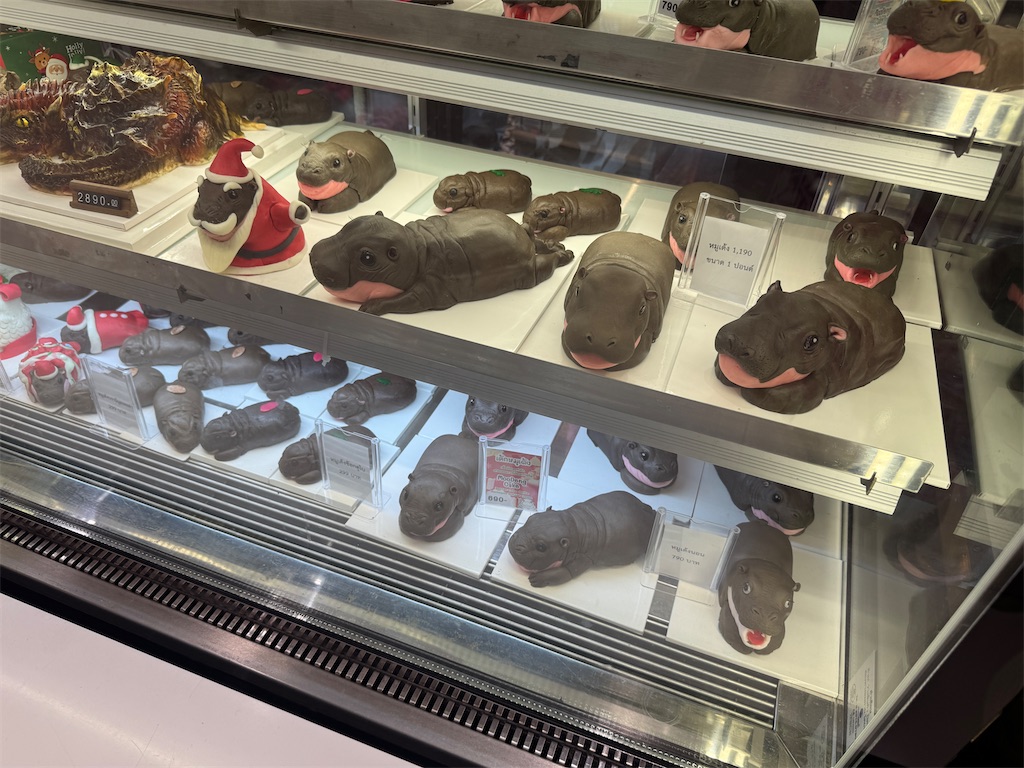 f:id:Kajirin1:20250114224249j:image f:id:Kajirin1:20250114224249j:image