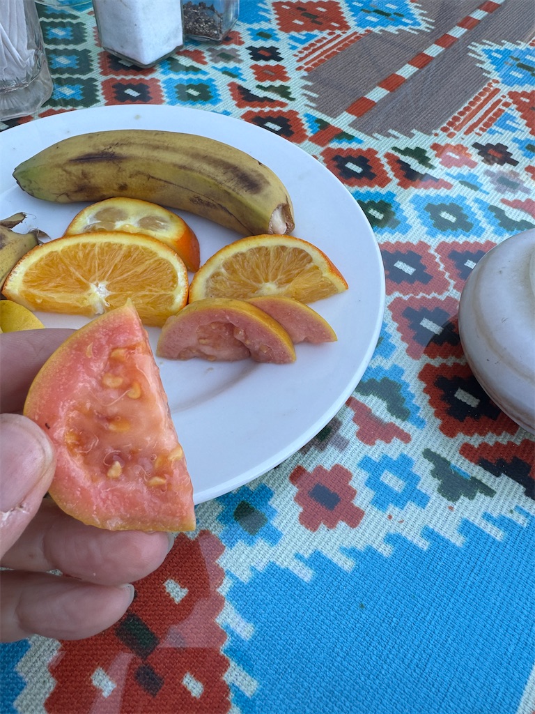 f:id:Kajirin1:20250303162251j:image f:id:Kajirin1:20250303162251j:image