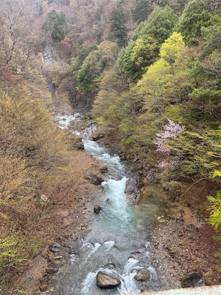 f:id:Kajirin1:20250508125529j:image