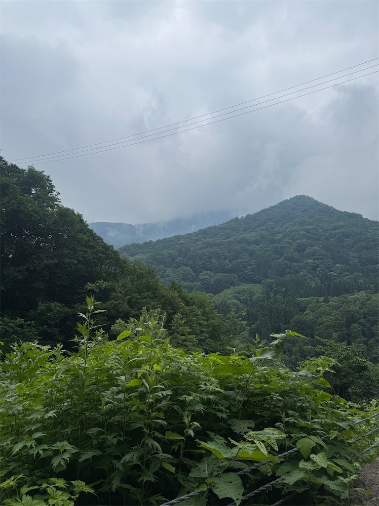 f:id:Kajirin1:20250628172309j:image