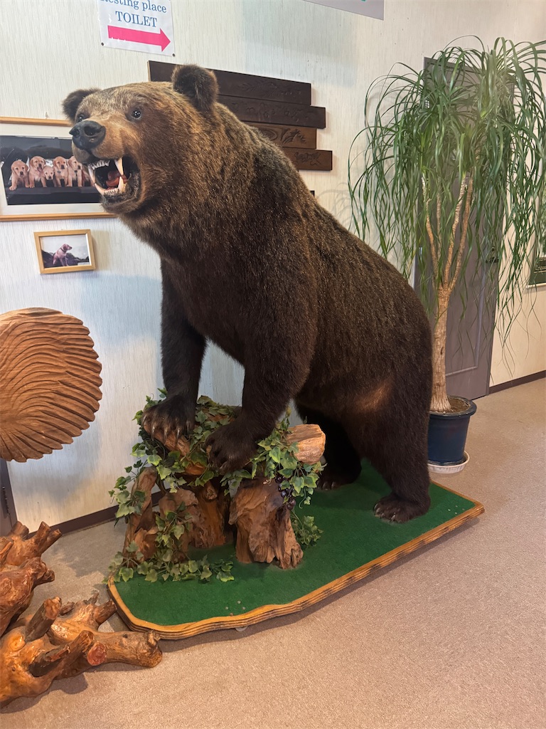 f:id:Kajirin1:20250812162122j:image