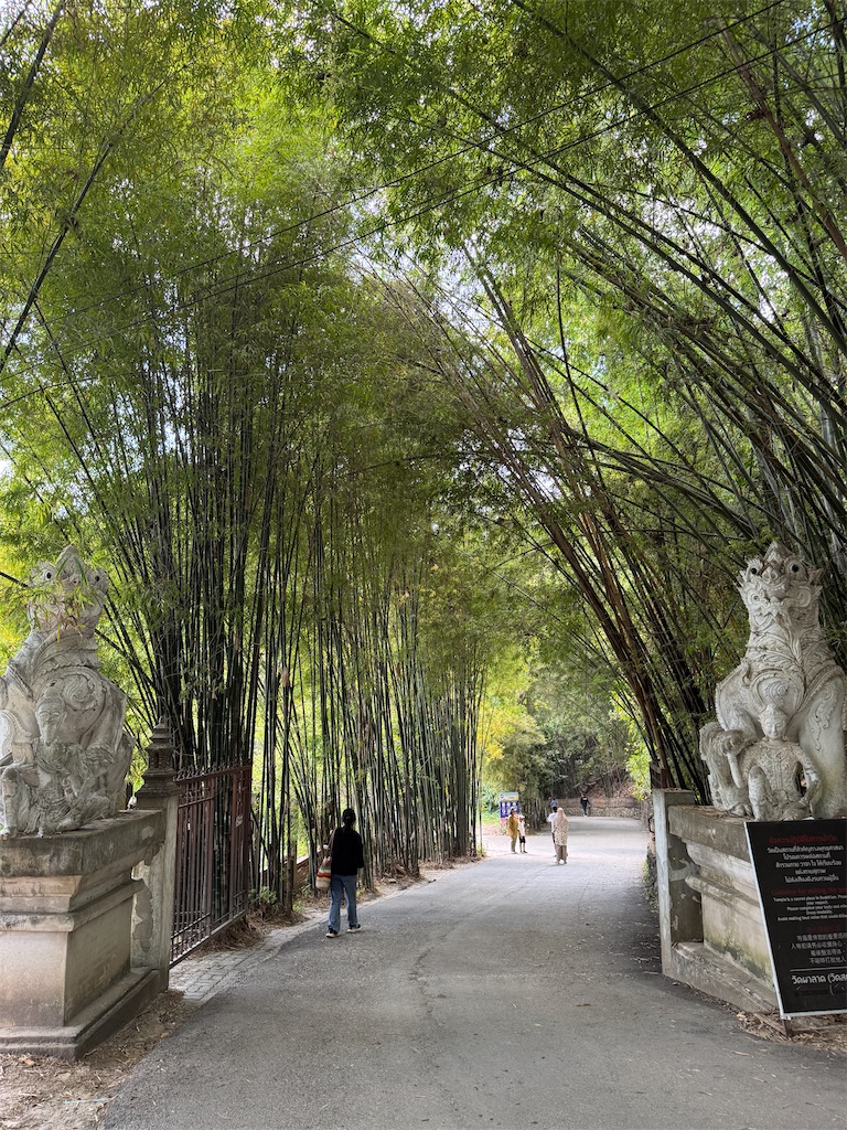 f:id:Kajirin1:20251228124845j:image