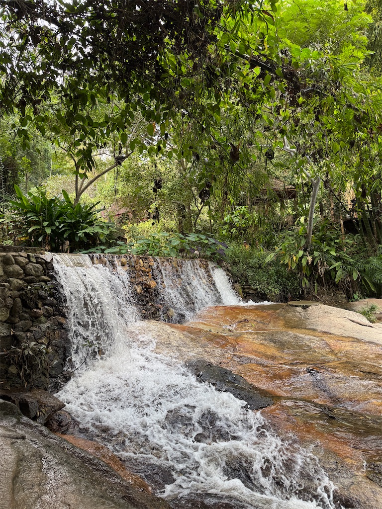 f:id:Kajirin1:20260107142254j:image