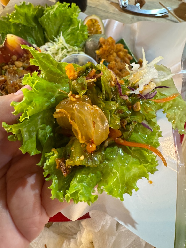 f:id:Kajirin1:20260128234659j:image