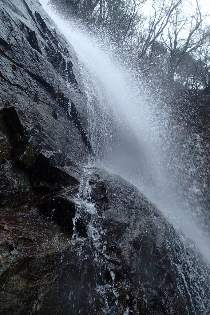 f:id:Kakuremino:20181014175023j:plain