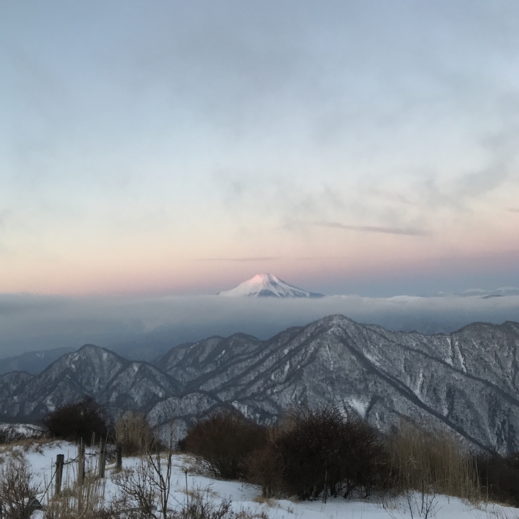f:id:Kakuremino:20190204122628j:plain f:id:Kakuremino:20190204122628j:plain