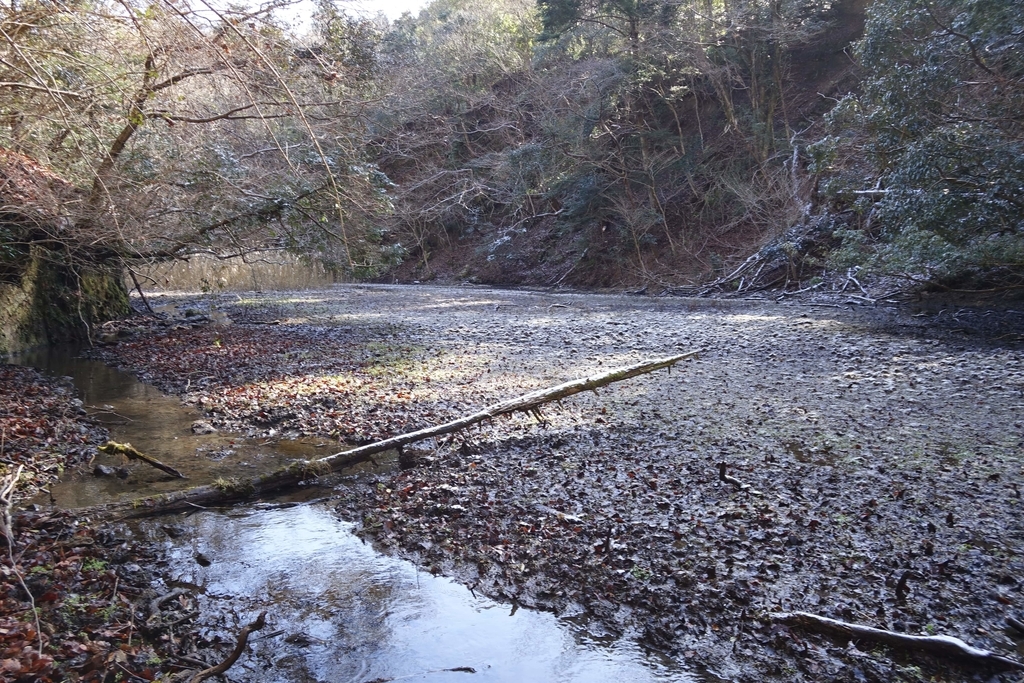 f:id:Kakuremino:20190212153241j:plain f:id:Kakuremino:20190212153241j:plain