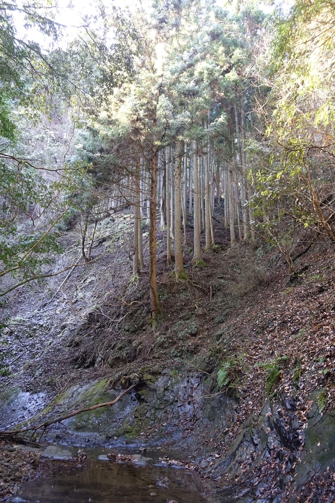 f:id:Kakuremino:20190213102030j:plain f:id:Kakuremino:20190213102030j:plain