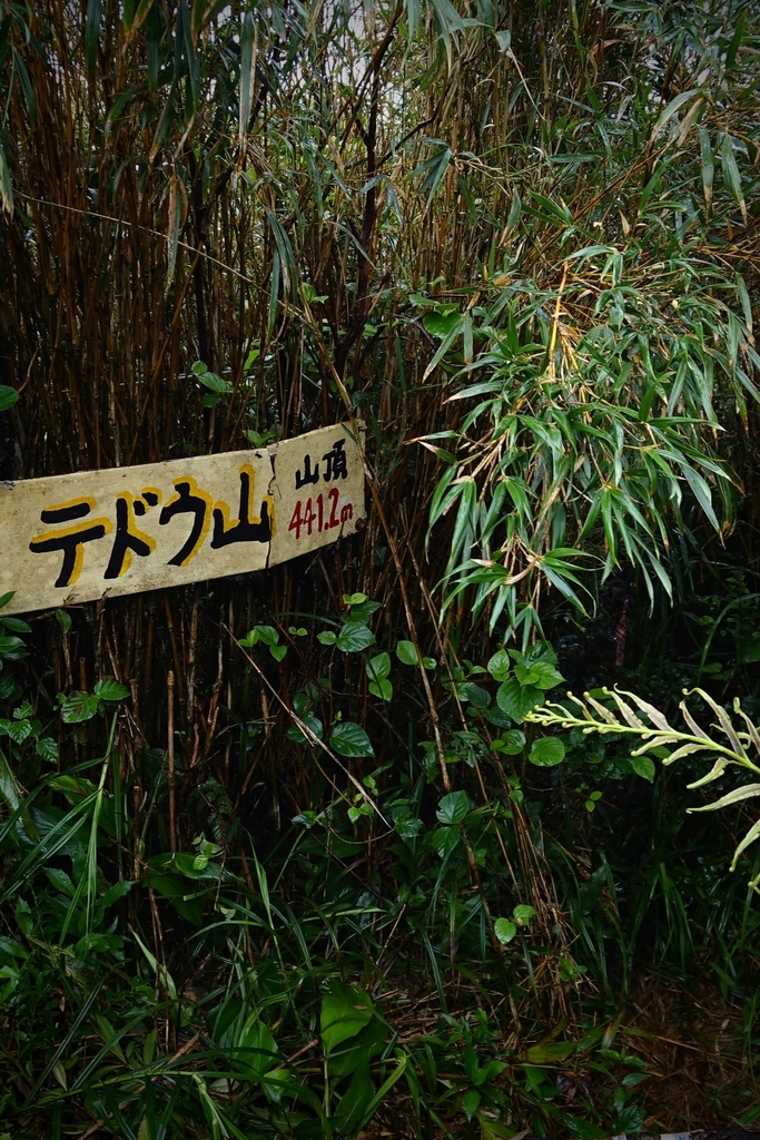 f:id:Kakuremino:20190301161307j:plain f:id:Kakuremino:20190301161307j:plain
