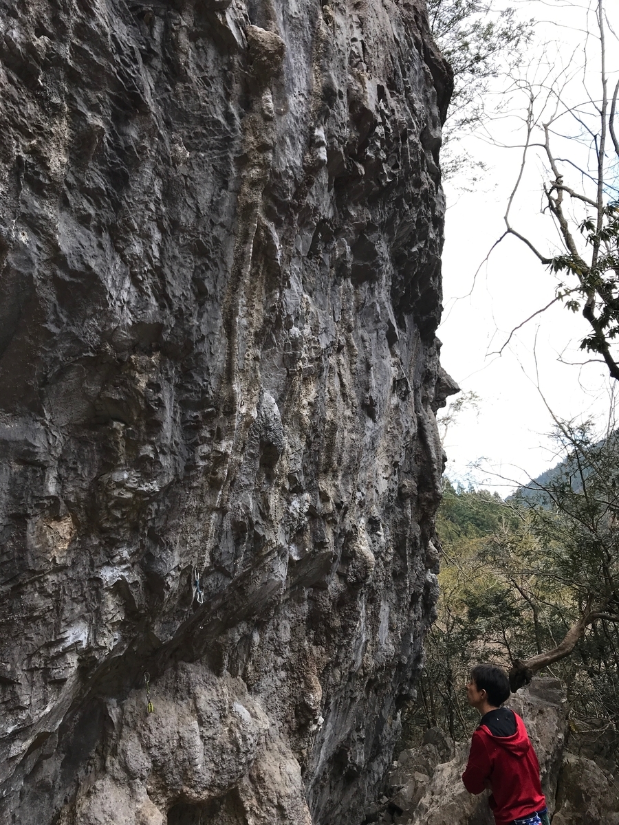 f:id:Kakuremino:20190403164404j:plain