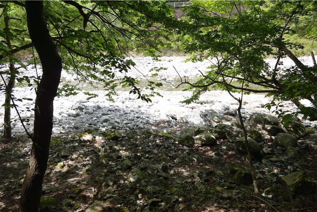 f:id:Kakuremino:20190521134957j:image