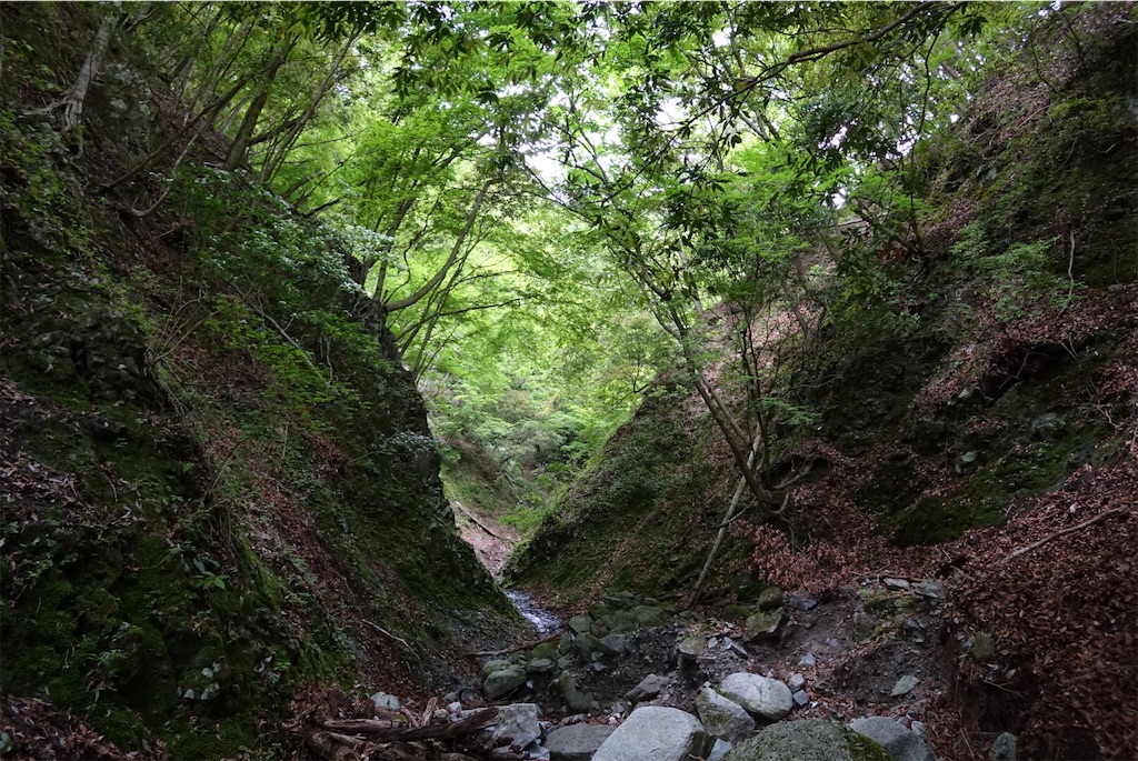 f:id:Kakuremino:20190521135115j:image