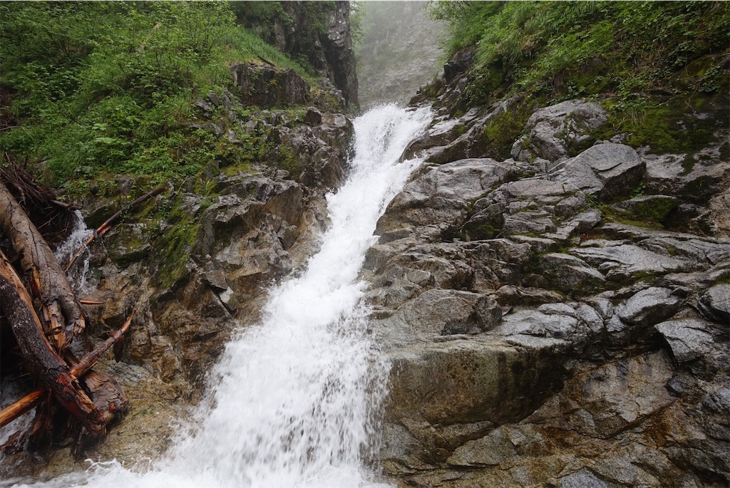 f:id:Kakuremino:20190708102735j:image