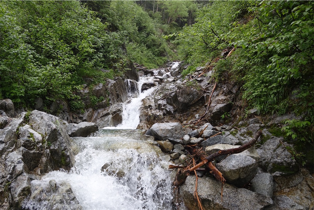 f:id:Kakuremino:20190708102801j:image