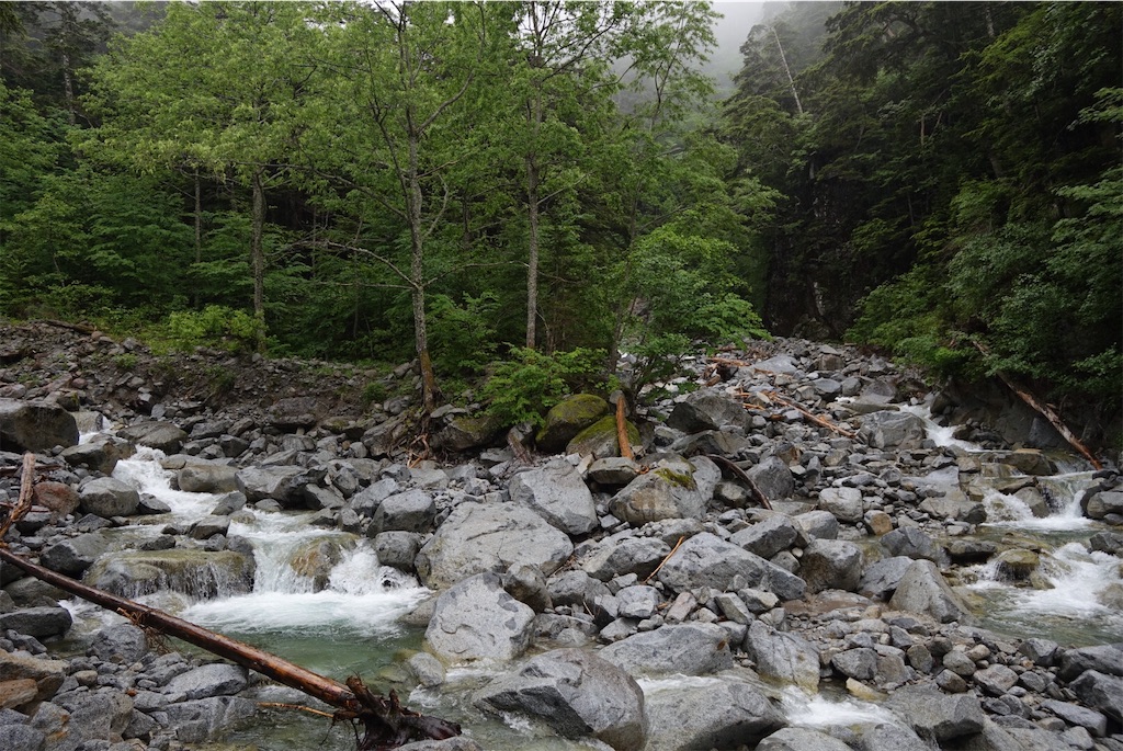 f:id:Kakuremino:20190708102825j:image