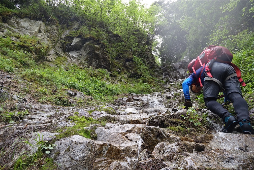 f:id:Kakuremino:20190708102831j:image