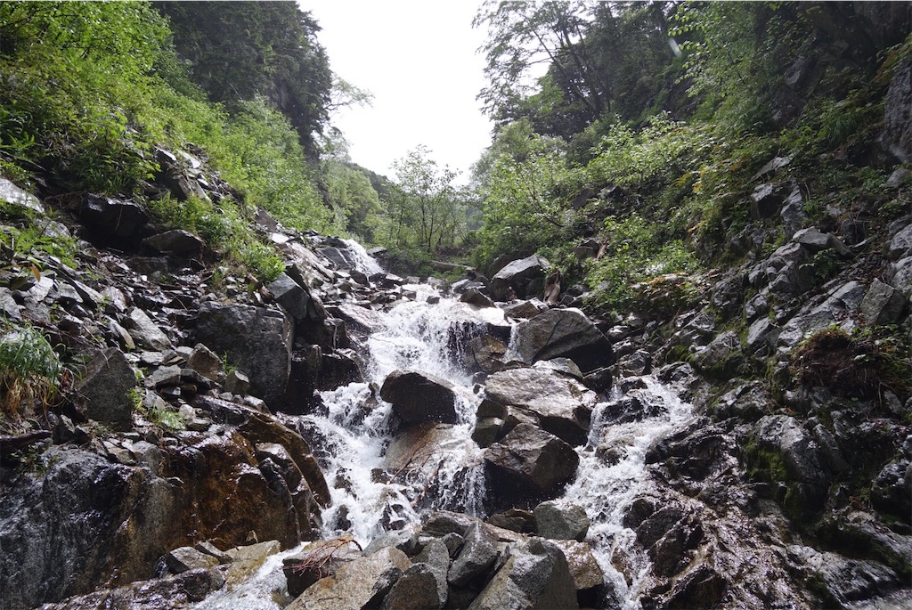 f:id:Kakuremino:20190708102838j:image