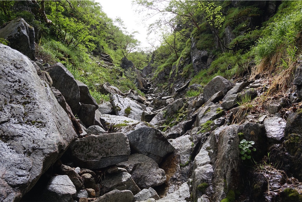 f:id:Kakuremino:20190708102935j:image