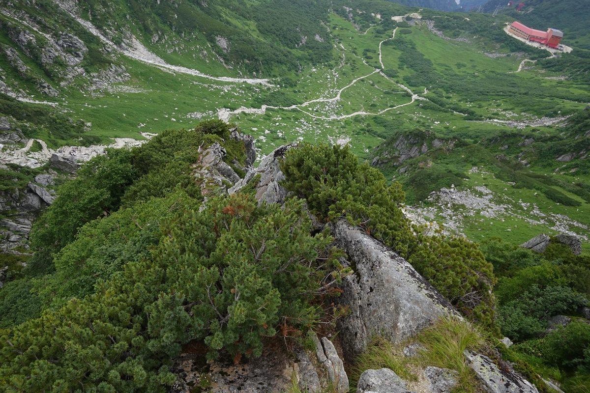 f:id:Kakuremino:20190816234901j:plain