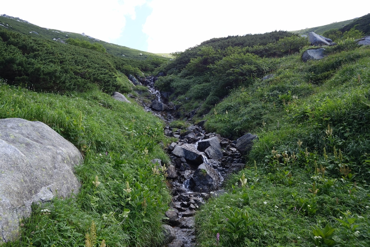 f:id:Kakuremino:20190816235018j:plain