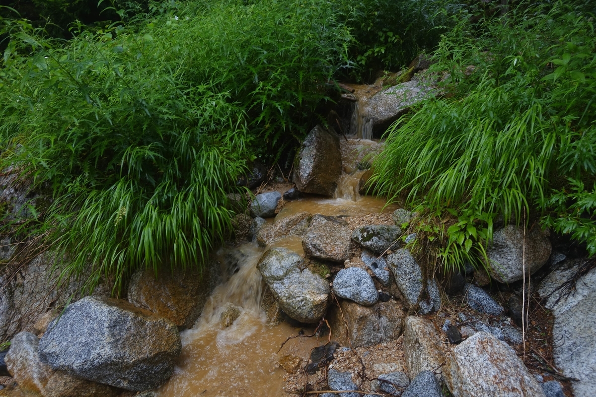 f:id:Kakuremino:20190816235116j:plain