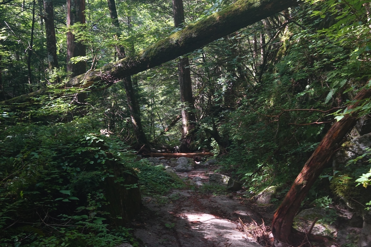 f:id:Kakuremino:20190816235148j:plain