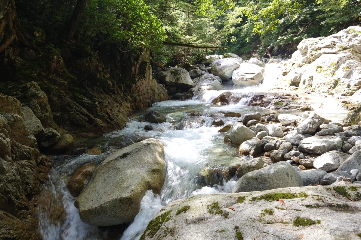 f:id:Kakuremino:20190816235205j:plain