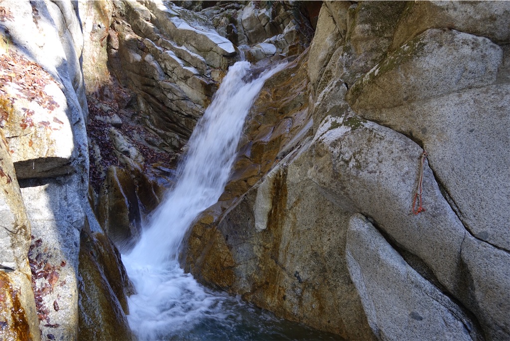 f:id:Kakuremino:20200210130055j:image f:id:Kakuremino:20200210130055j:image