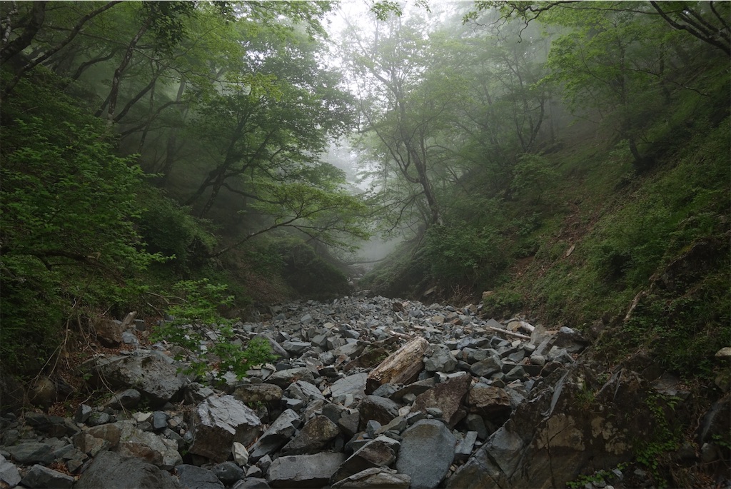f:id:Kakuremino:20200607175018j:image f:id:Kakuremino:20200607175018j:image