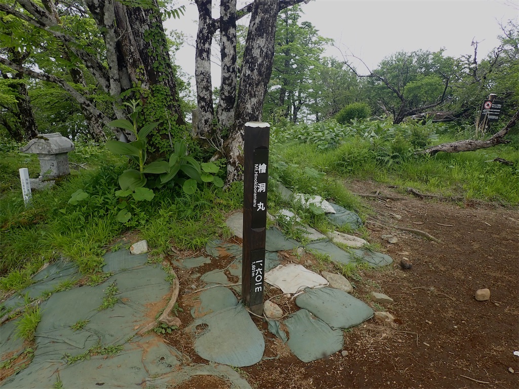 f:id:Kakuremino:20200607175043j:image f:id:Kakuremino:20200607175043j:image