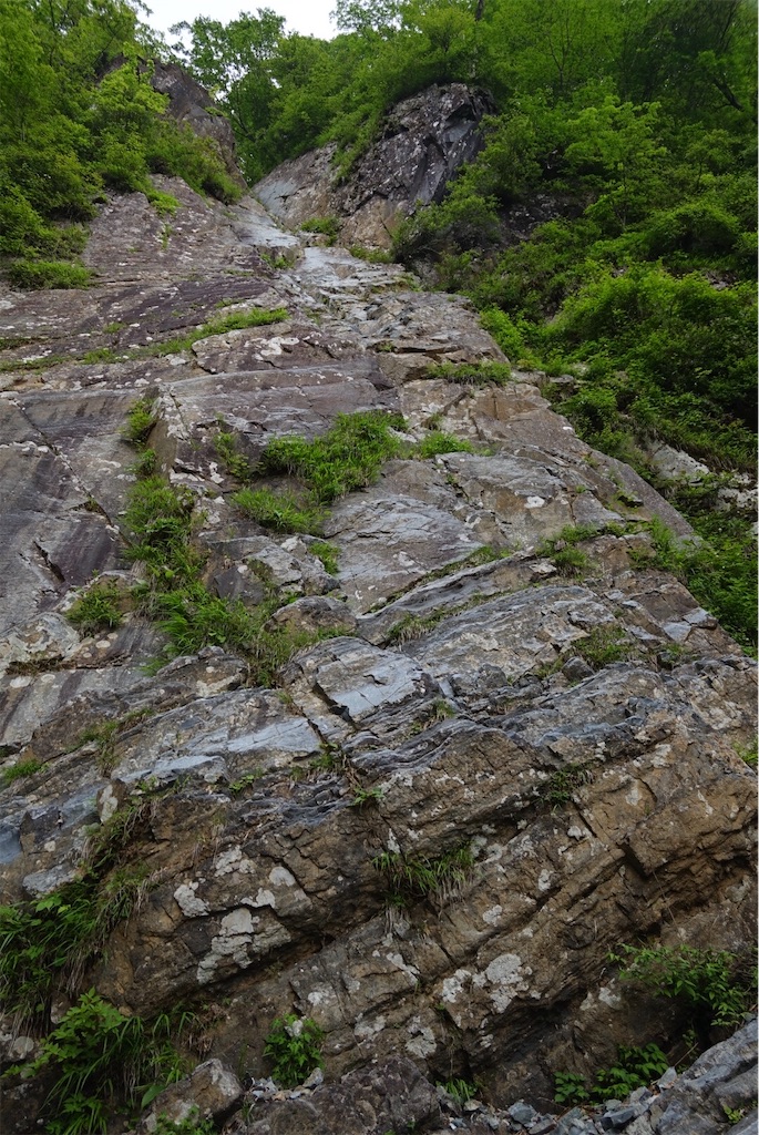 f:id:Kakuremino:20200607175448j:image f:id:Kakuremino:20200607175448j:image