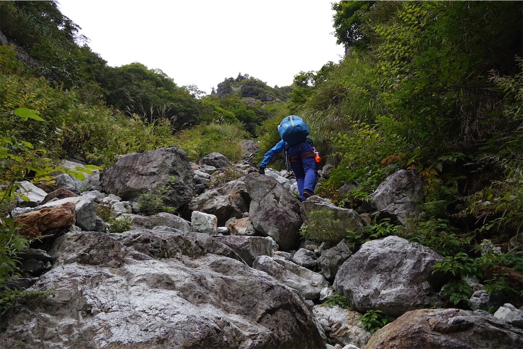 f:id:Kakuremino:20201007175330j:image