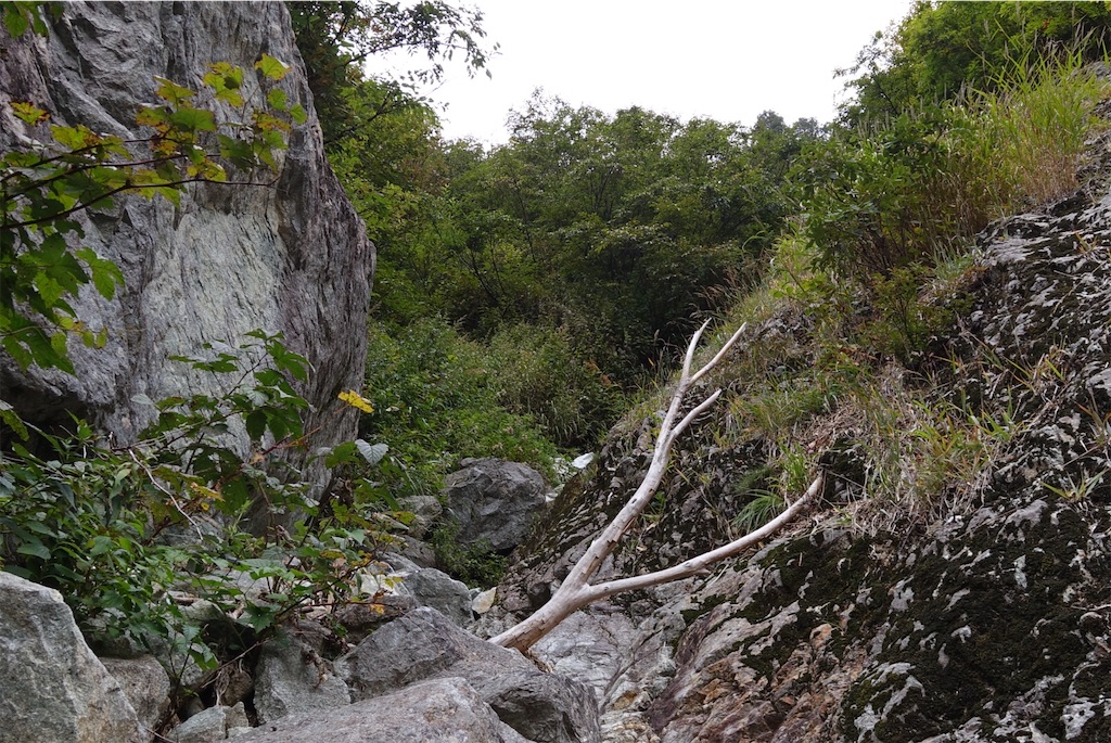 f:id:Kakuremino:20201007175341j:image