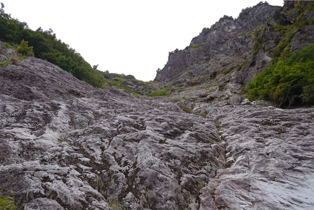 f:id:Kakuremino:20201007175418j:image