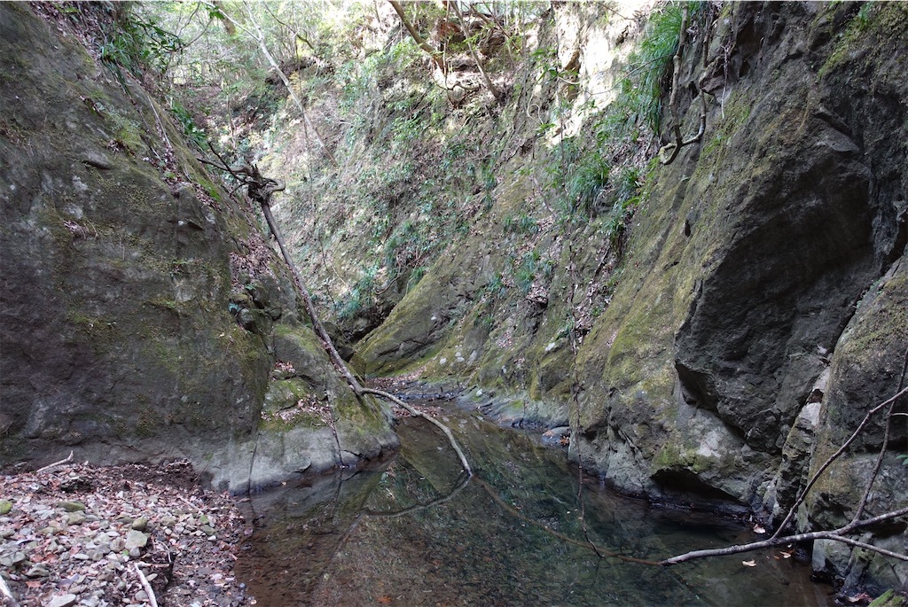 f:id:Kakuremino:20210104160730j:image