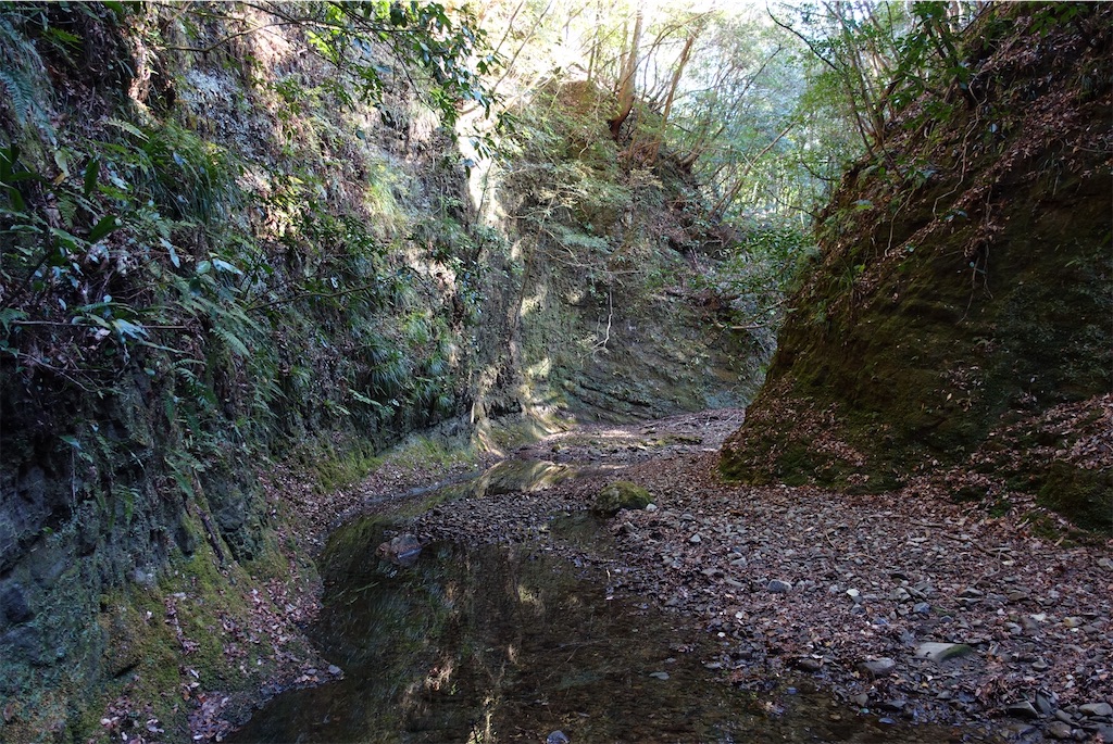 f:id:Kakuremino:20210104160746j:image