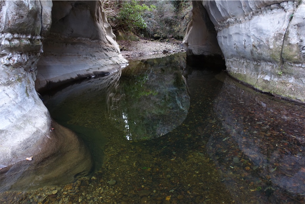 f:id:Kakuremino:20210104160801j:image