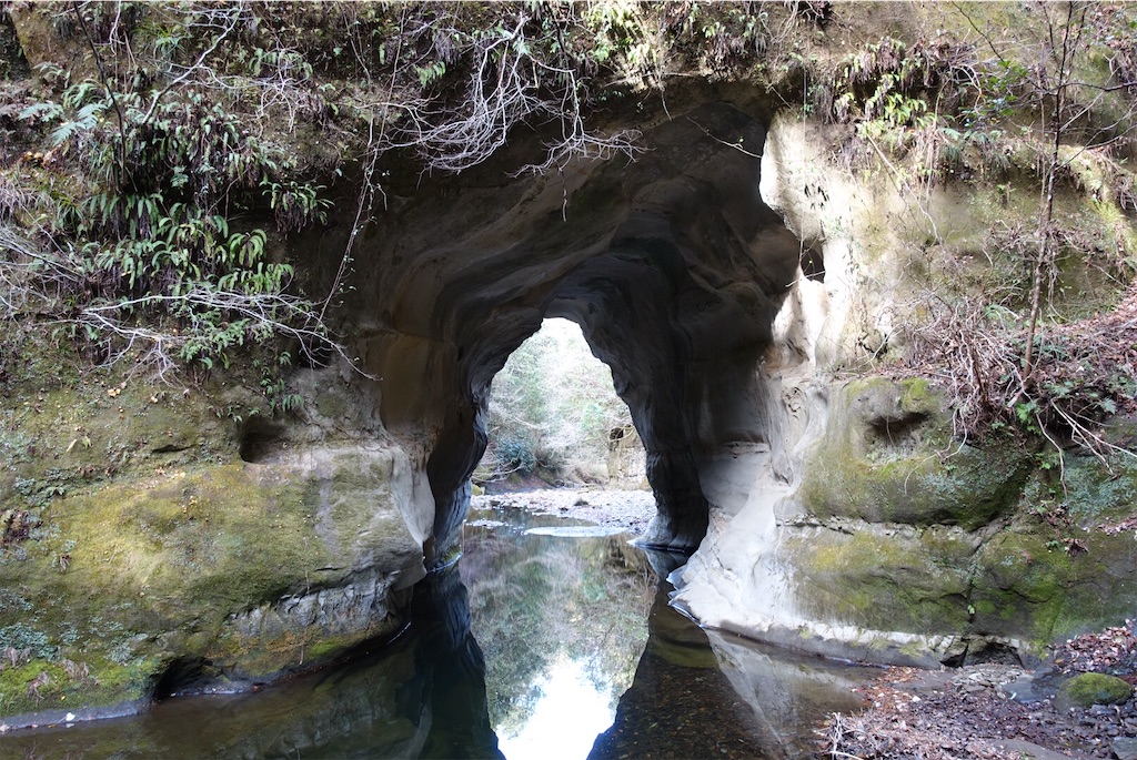 f:id:Kakuremino:20210104160917j:image