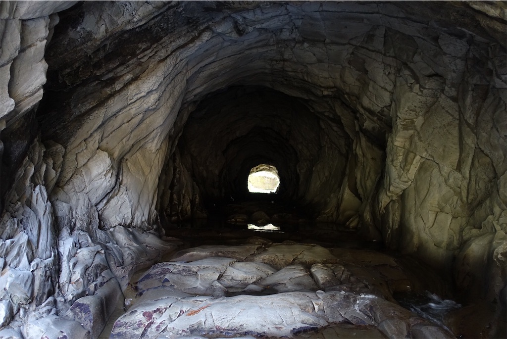 f:id:Kakuremino:20210104160924j:image