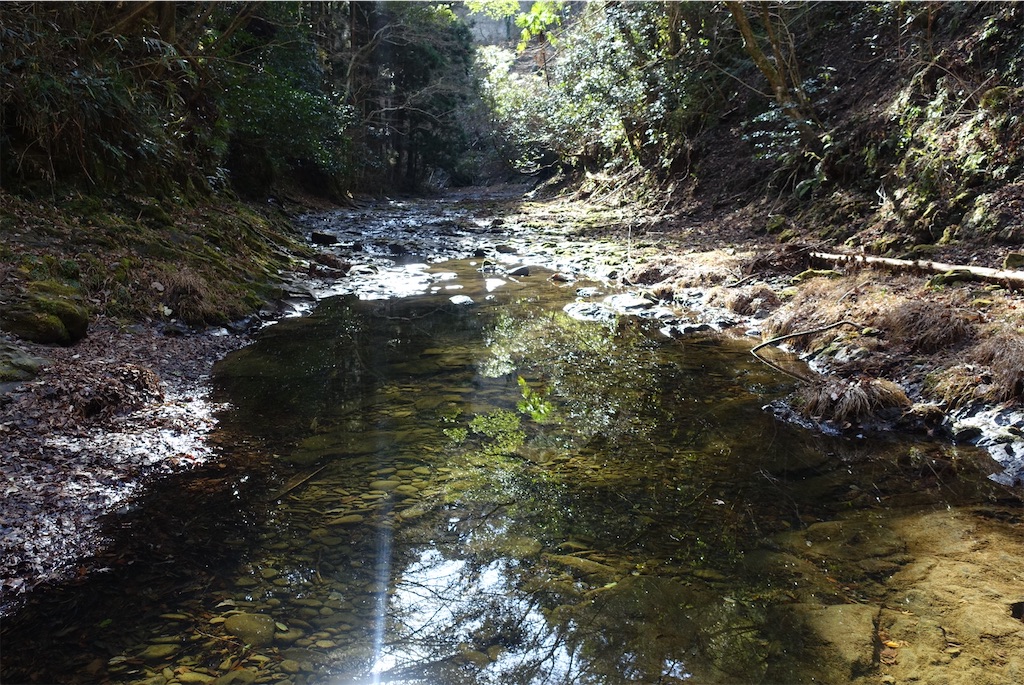 f:id:Kakuremino:20210104160931j:image