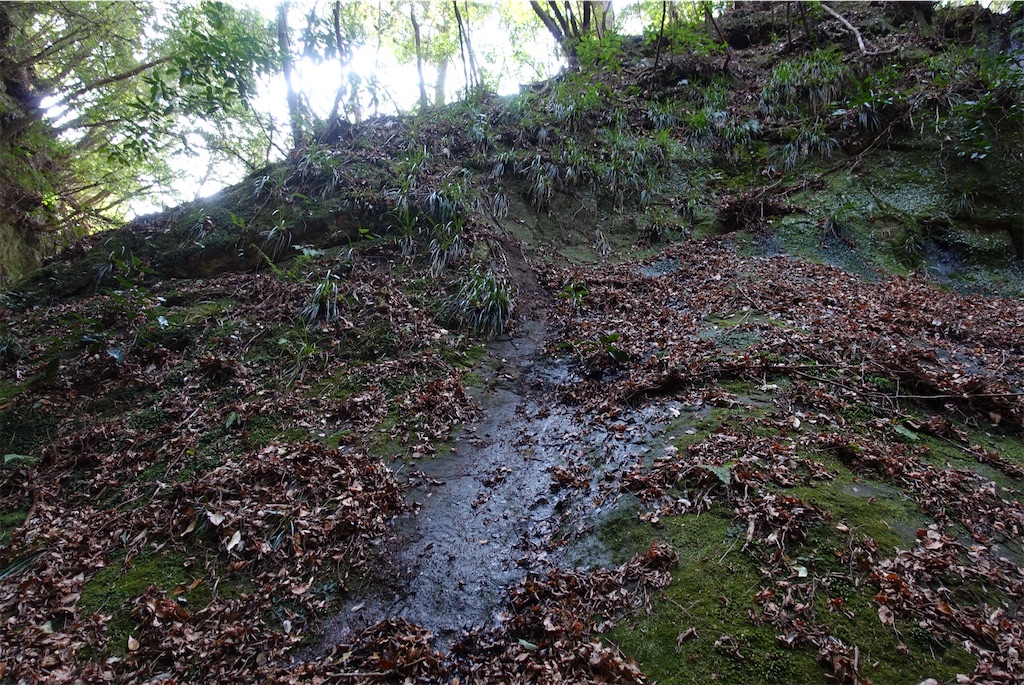 f:id:Kakuremino:20210104160949j:image