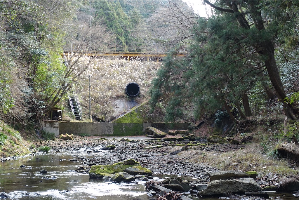 f:id:Kakuremino:20210104161011j:image