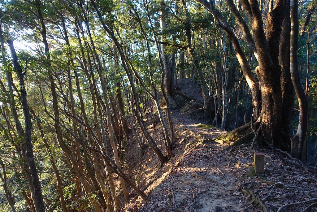 f:id:Kakuremino:20210104161024j:image