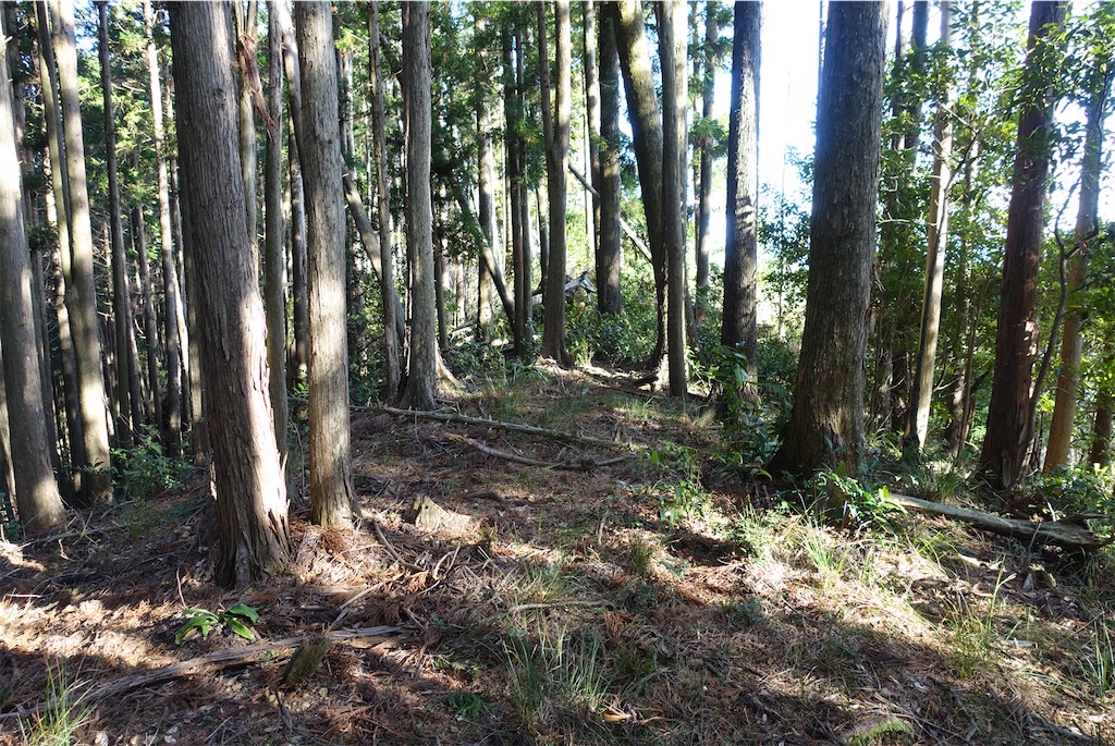 f:id:Kakuremino:20210104161031j:image