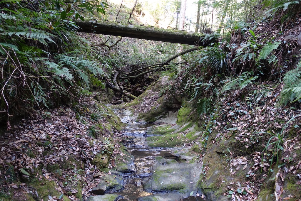 f:id:Kakuremino:20210104161040j:image