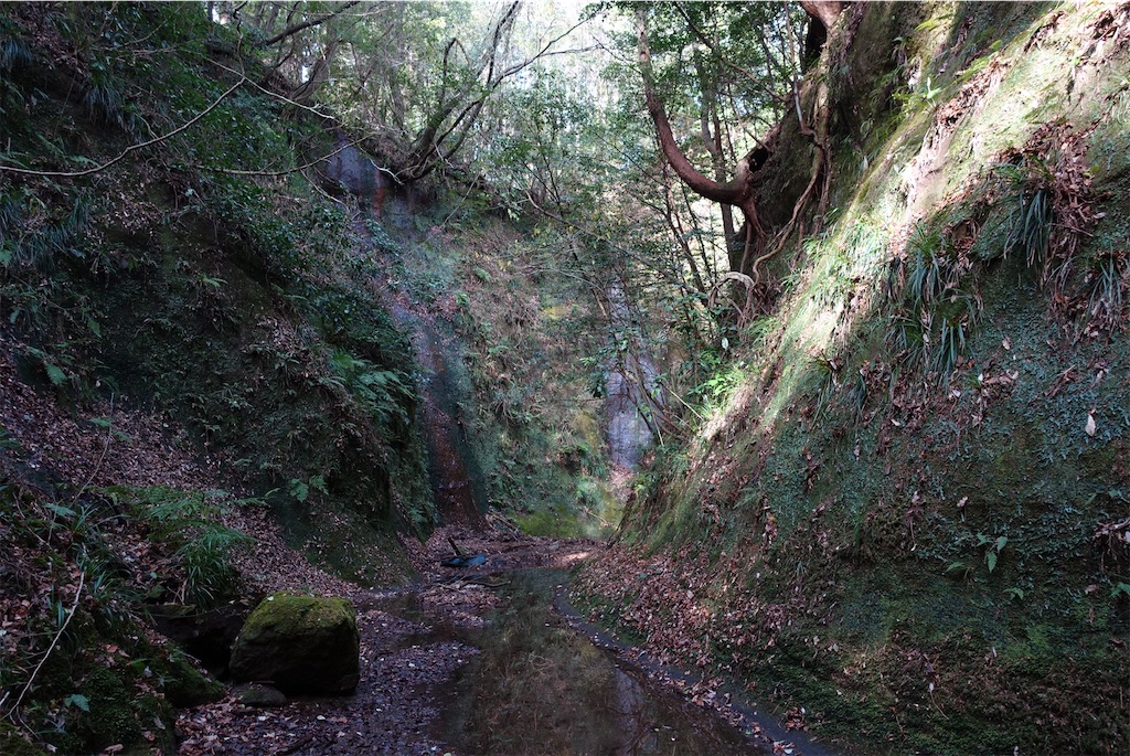 f:id:Kakuremino:20210104161115j:image