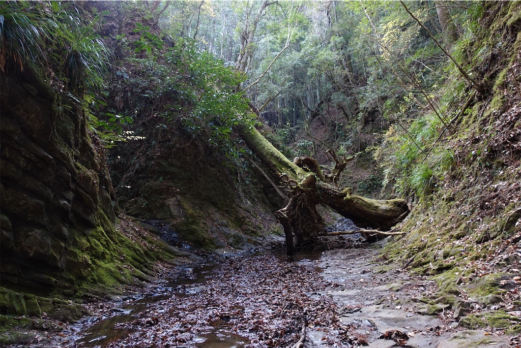 f:id:Kakuremino:20210104161125j:image