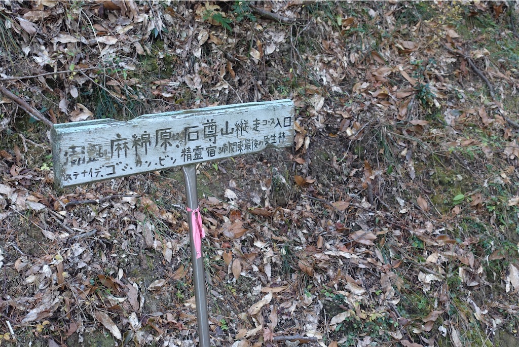 f:id:Kakuremino:20210104161136j:image